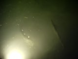 035-036.jpg.small.jpeg
