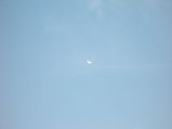 073-074.jpg.small.jpeg