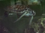 138-139.jpg.small.jpeg